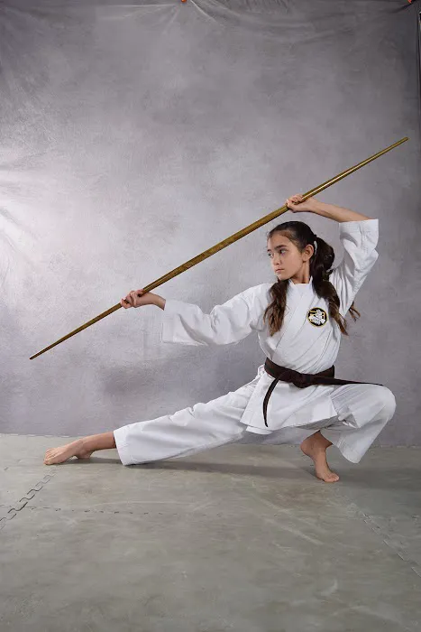 Karate International San Antonio & AForce Brazilian Jiu Jitsu Picture 8