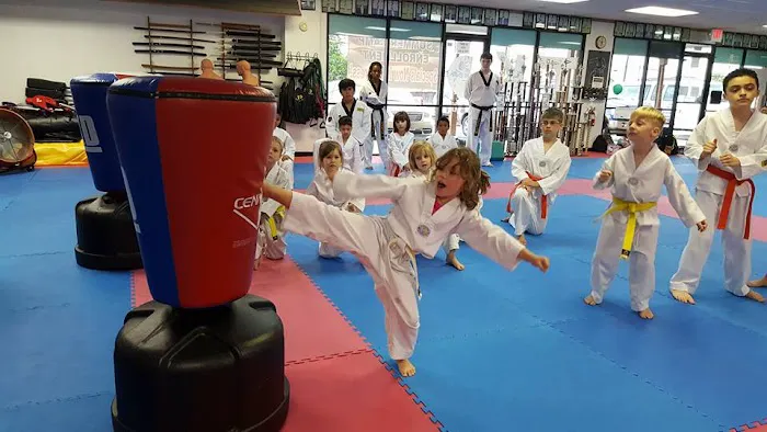 Korea America Taekwondo Academy Picture 2