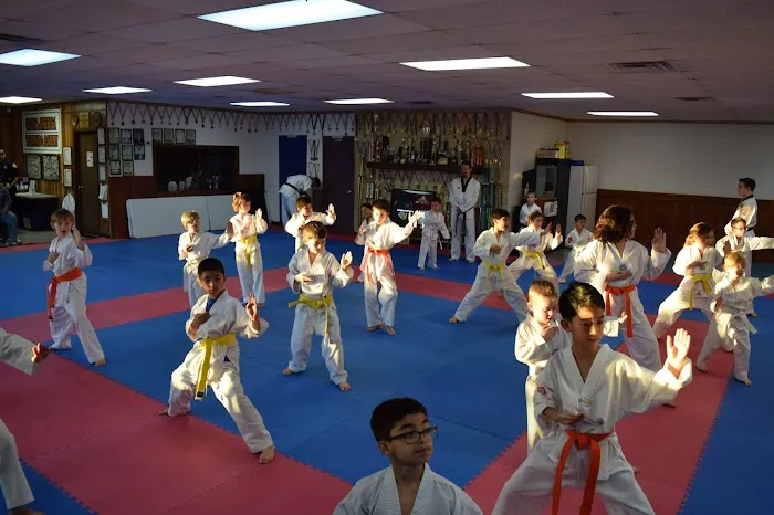 Korea America Taekwondo Academy Picture 6