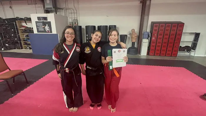 Saldivar Martial Arts Picture 4