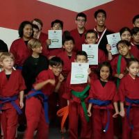 Saldivar Martial Arts ico