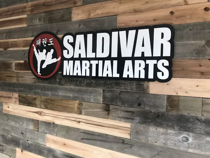 Saldivar Martial Arts Picture 5
