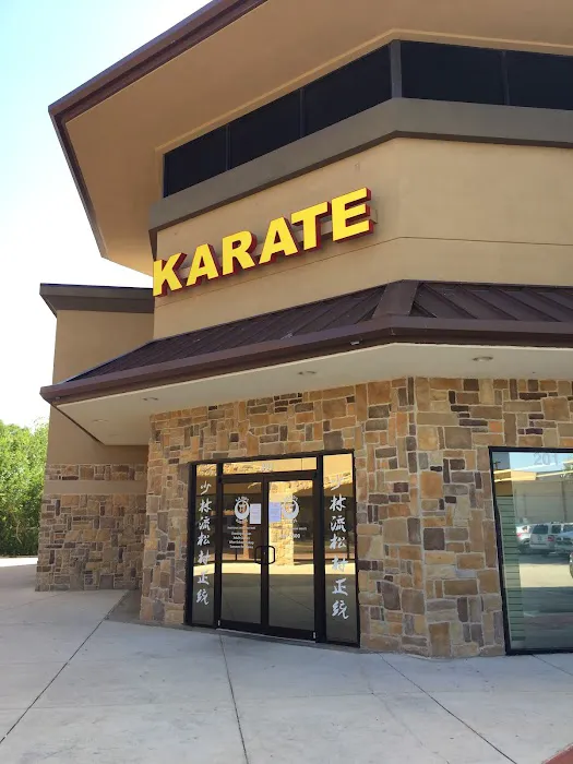 SA Kids Karate Picture 3