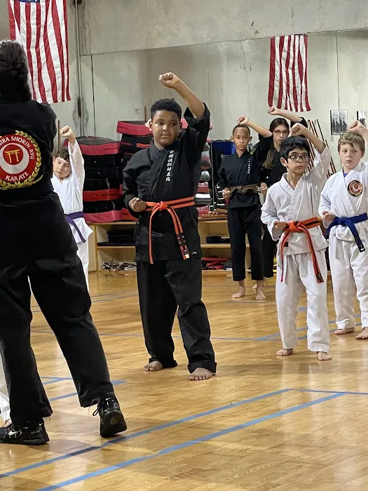 SA Kids Karate Picture 6