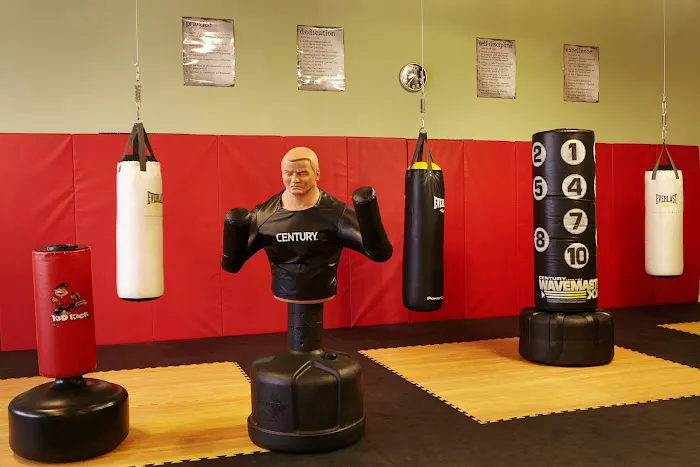 Alamo Karate Academy Picture 3