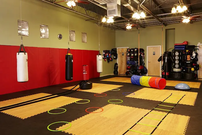 Alamo Karate Academy Picture 6