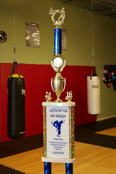 Alamo Karate Academy Picture 4