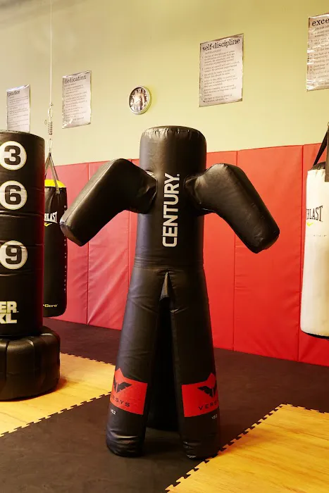 Alamo Karate Academy Picture 10