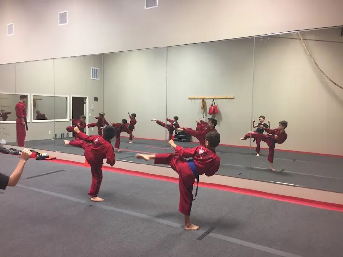 RETRO SPORT KARATE Picture 1