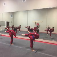 RETRO SPORT KARATE ico