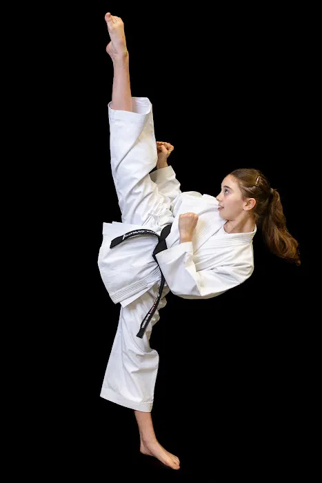 RETRO SPORT KARATE Picture 4