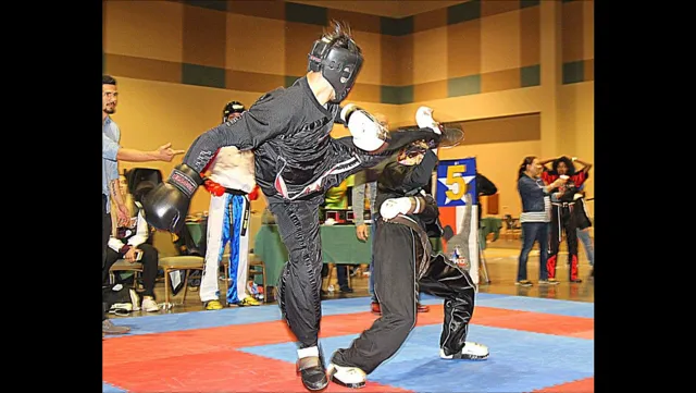 RETRO SPORT KARATE Picture 7