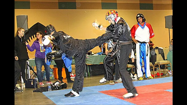 RETRO SPORT KARATE Picture 6