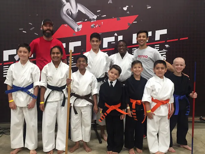 RETRO SPORT KARATE Picture 9