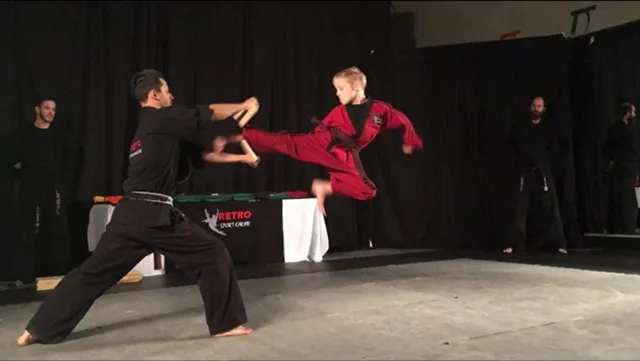 RETRO SPORT KARATE Picture 10