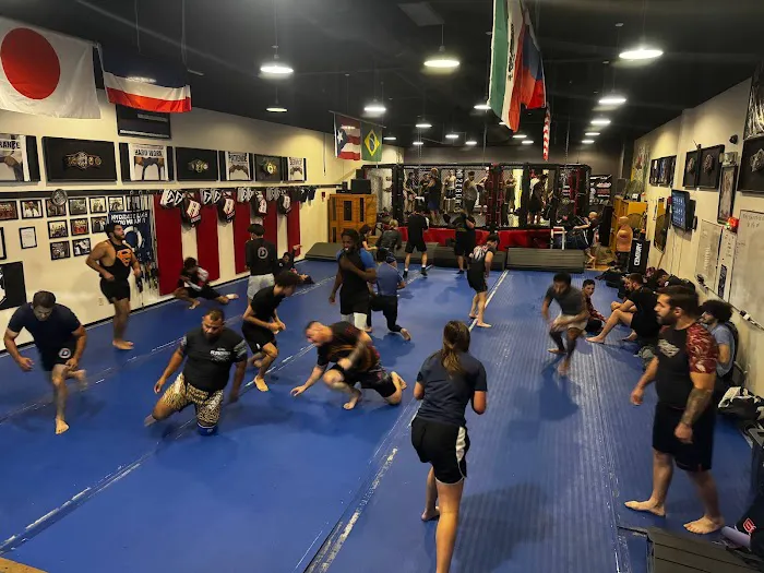 Dominion MMA®, Brazilian Jiu Jitsu & San Antonio MMA Training Gym. Picture 2