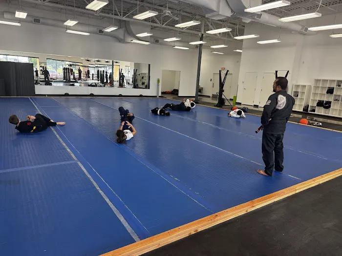 Dominion MMA®, Brazilian Jiu Jitsu & San Antonio MMA Training Gym. Picture 4