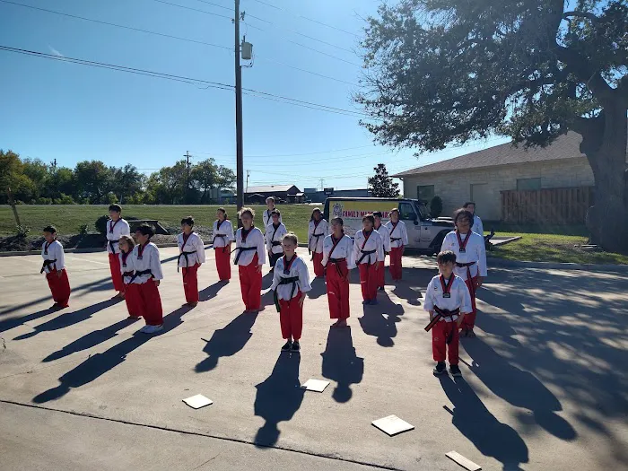 Family Martial Arts of Texas Picture 2