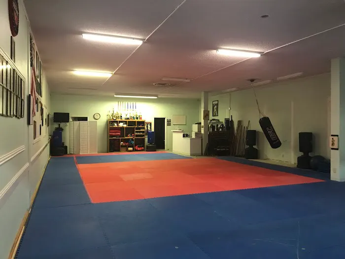 AAMA Karate School Picture 2