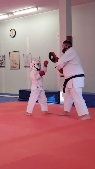 AAMA Karate School Picture 1