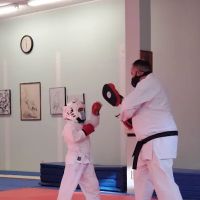 AAMA Karate School ico
