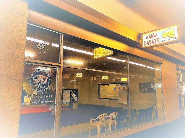 AAMA Karate School Picture 10