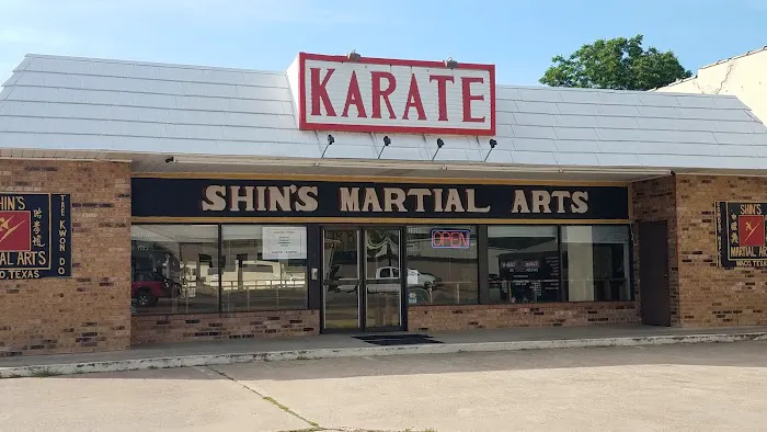 Shins Martial Arts Picture 1