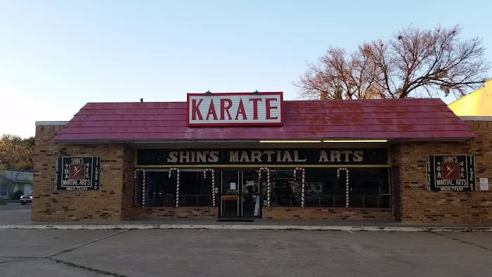 Shins Martial Arts Picture 3