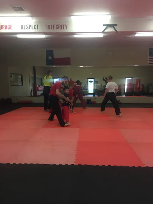Family Martial Arts of Texas Picture 2
