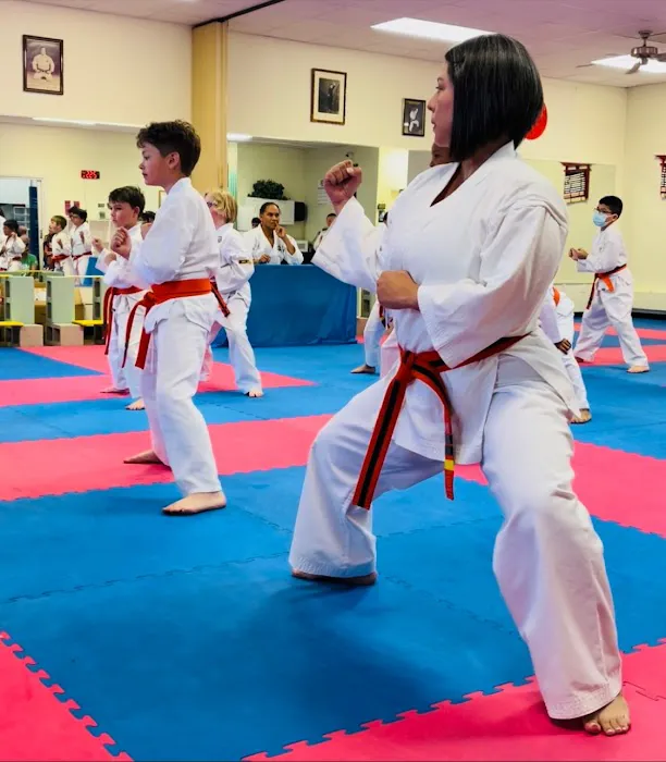 Sanchin Karate School Picture 9
