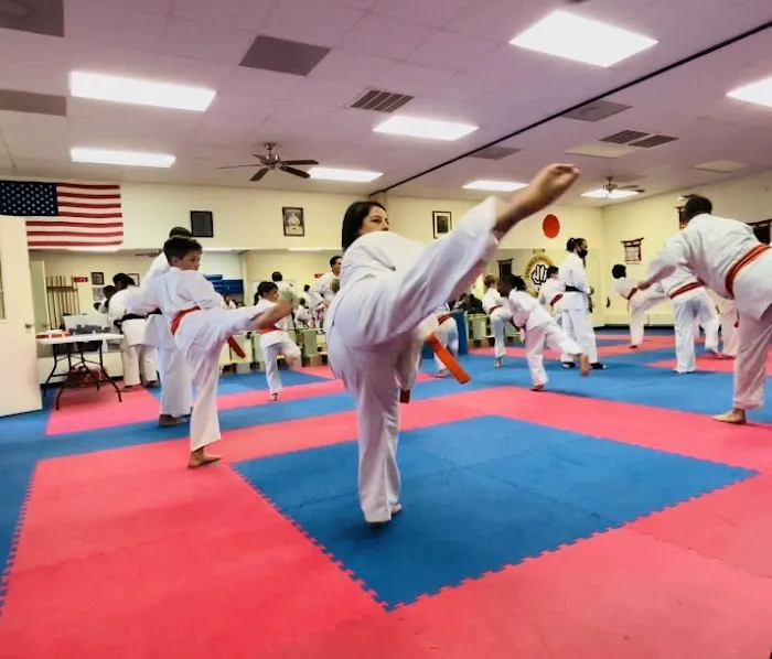 Sanchin Karate School Picture 7