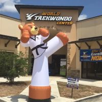 World Taekwondo Center ico