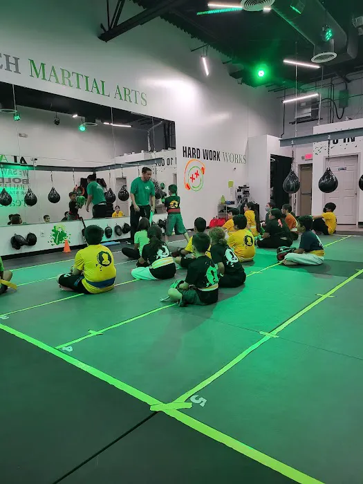 Alamo Ranch Martial Arts Picture 2
