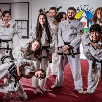 Lake Whitney Unified Tae Kwon Do ico
