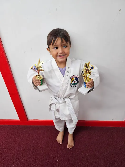 The Hillsboro Eagles Unified Tae Kwon Do Picture 2