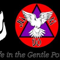 Professional Karate Institute Mixed Martial Arts ico