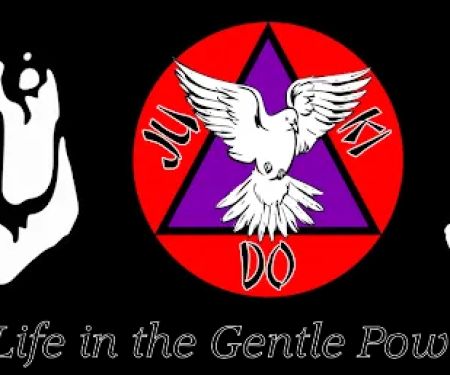 Professional Karate Institute Mixed Martial Arts