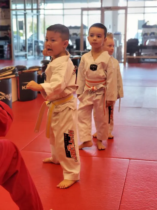 K-Tiger Martial Arts Taekwondo Picture 1