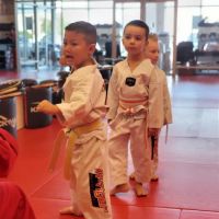 K-Tiger Martial Arts Taekwondo ico
