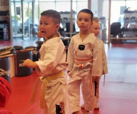 K-Tiger Martial Arts Taekwondo