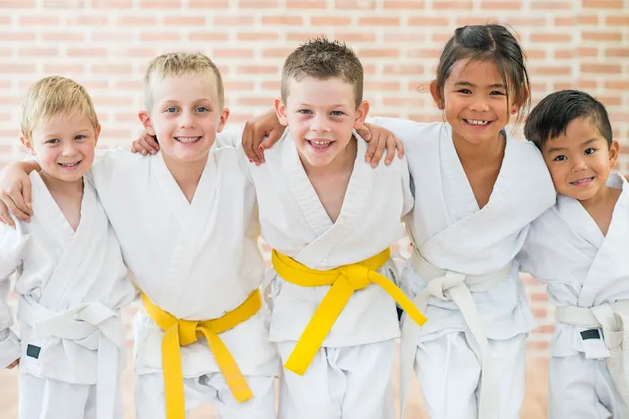 K-Tiger Martial Arts Taekwondo Picture 2