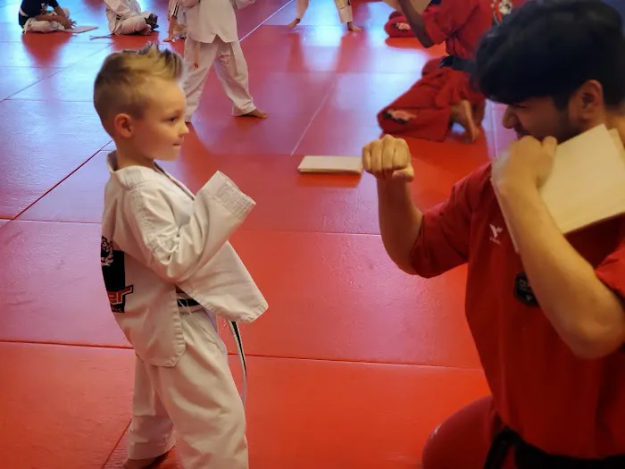 K-Tiger Martial Arts Taekwondo Picture 3