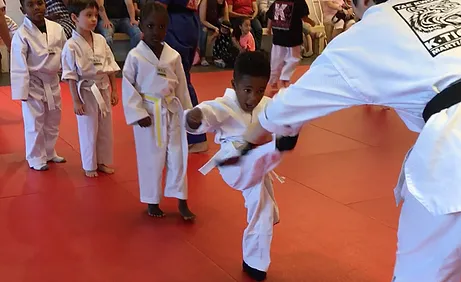 K-Tiger Martial Arts Taekwondo Picture 8