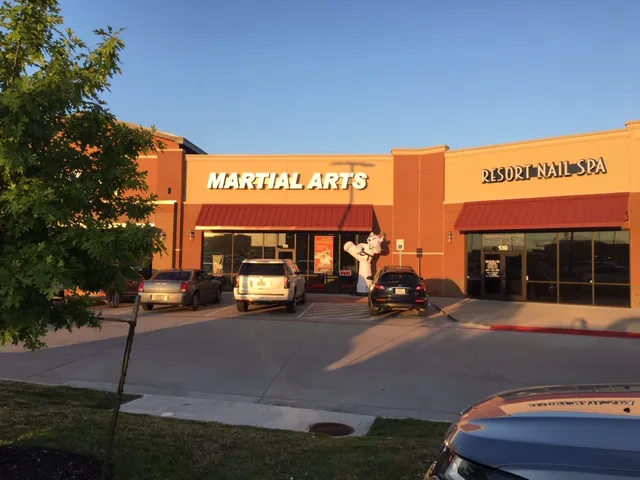 K-Tiger Martial Arts Taekwondo Picture 6