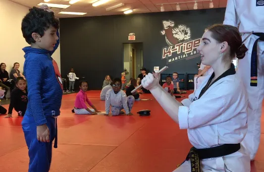 K-Tiger Martial Arts Taekwondo Picture 10