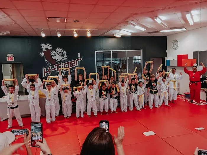 K-Tiger Martial Arts Taekwondo Picture 1