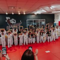 K-Tiger Martial Arts Taekwondo ico