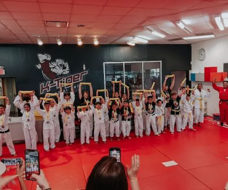 K-Tiger Martial Arts Taekwondo