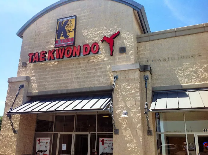 K-Tiger Martial Arts Taekwondo Picture 4