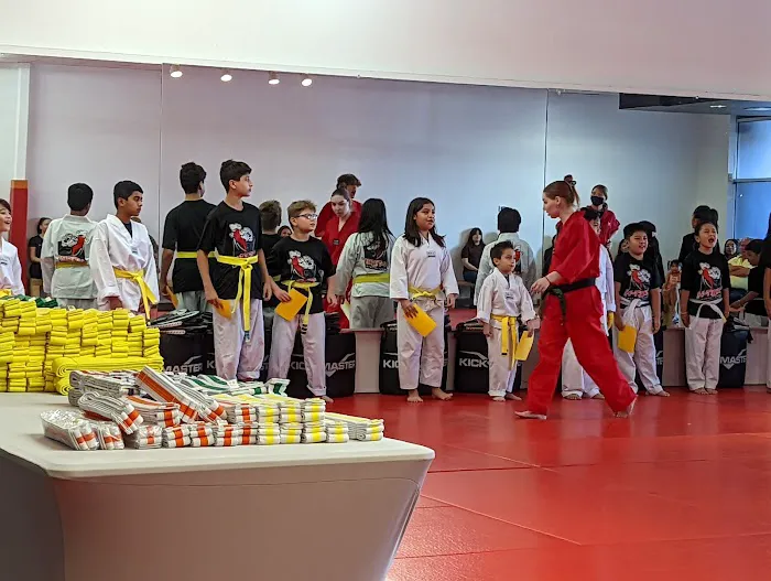 K-Tiger Martial Arts Taekwondo Picture 2